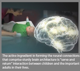 The active ingredient in forming the neural connections that comprise sturdy brain architecture is ''server and return'' interaction between children and the important adults in their lives